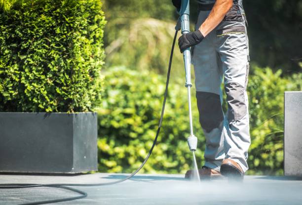 Best Boat and Dock Cleaning  in Felton, CA